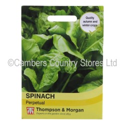 Thompson & Morgan Spinach Perpetual